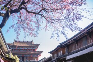 KHÁM PHÁ ĐẠI LÝ - LỆ GIANG - SHANGRILA ( 5N4Đ )