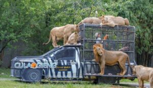 VƯỜN THÚ SAFARI WORLD BANGKOK ( 5N4Đ )